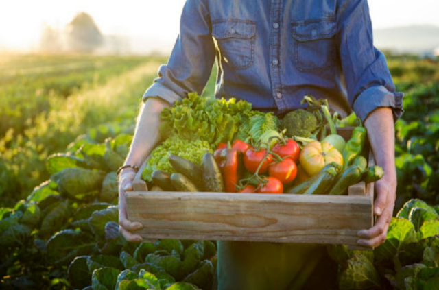 Community Supported Agriculture