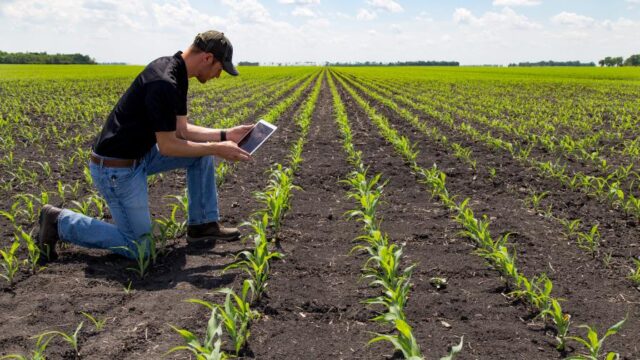 Technologies Behind Crop Scouting