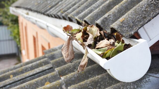 Warning signs your Gutters are Clogged