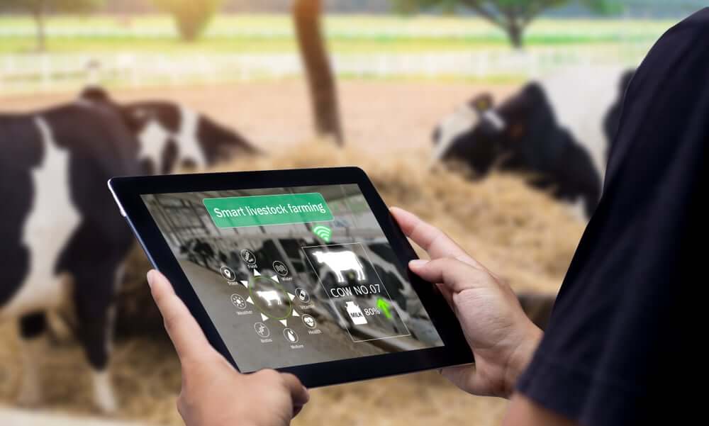 Modern Tech's 8 Impacts on Livestock Farming