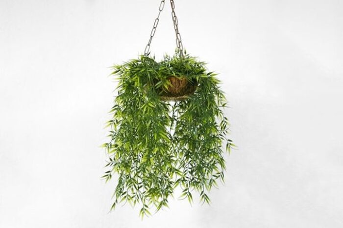 A hanging flower pot