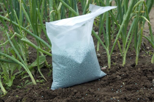 Fertilize