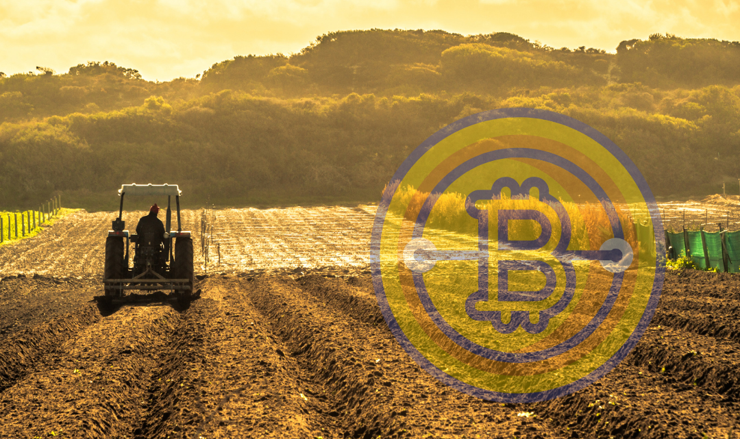 5 Ways Blockchain Technology Can Improve The Agricultural Sector
