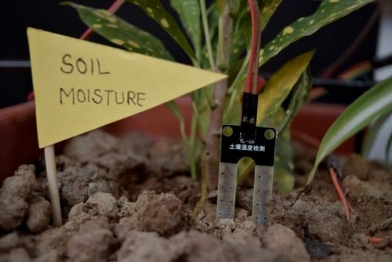 How Does a Soil Moisture Sensor Work 2024 Guide Urban Farm Online