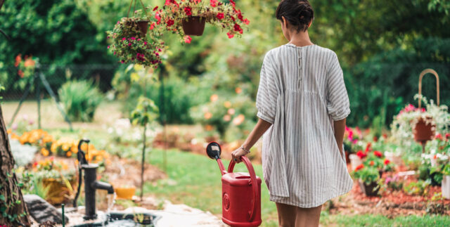 Save Water and Still Have a Stunning Garden