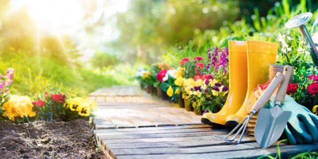 Making a Biblical Flower Garden