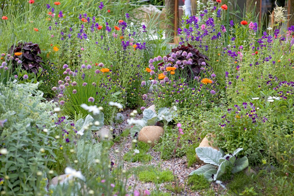 A Guide to Planting Flower Seeds in a Backyard Garden Urban Farm Online