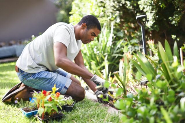 Planting Flower Seeds in a Backyard Garden