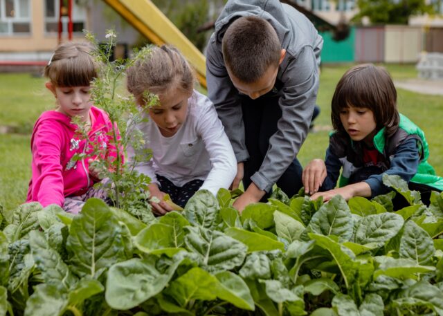 Positive Effects of Gardening with Kids