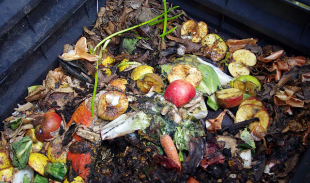 Composting At Home