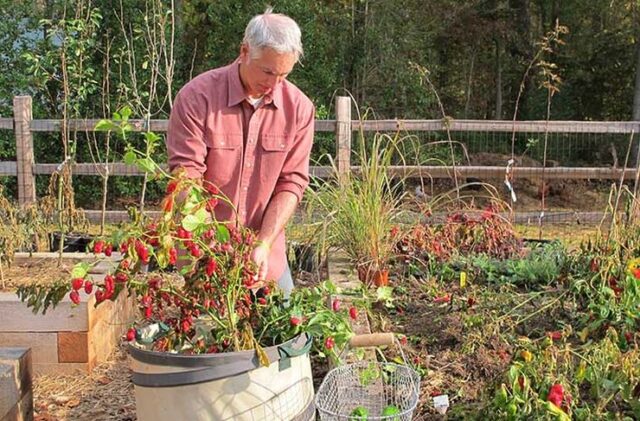 Reducing the Workload of Your Garden