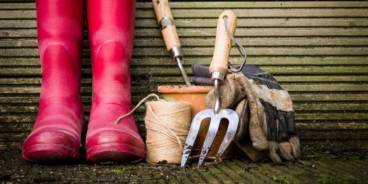 Boost Your Garden Efficiency: Unsung Tool Heroes Revealed