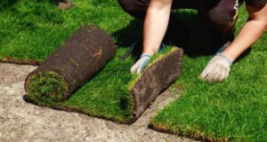 How to Prep Your Lawn Before Installing Sod for a Flower Garden