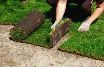 How to Prep Your Lawn Before Installing Sod for a Flower Garden