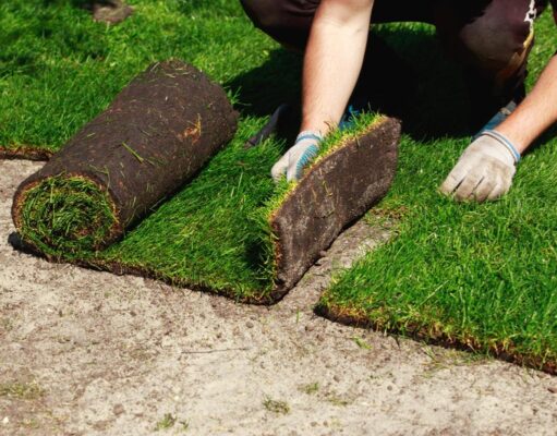 How to Prep Your Lawn Before Installing Sod for a Flower Garden