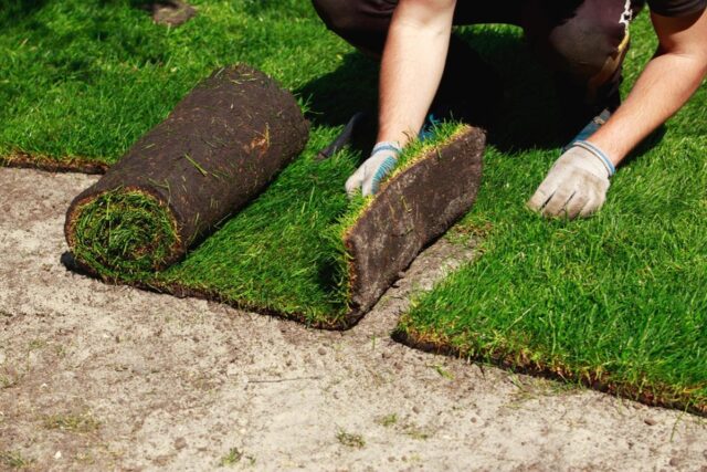 How to Prep Your Lawn Before Installing Sod for a Flower Garden