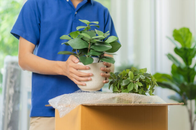How to Move Plants