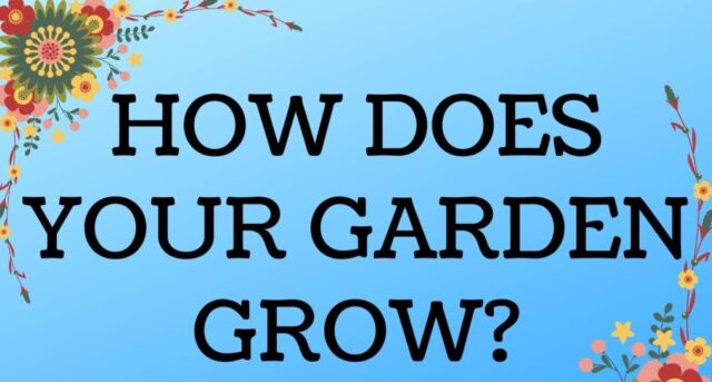 how does your garden grow