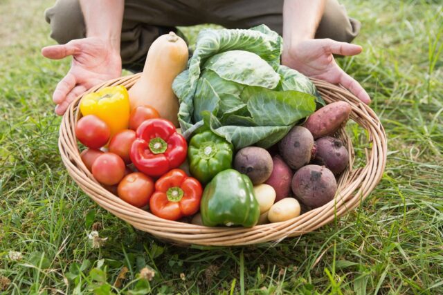 Growing Green Designing Your Farm-to-Table Business for Success