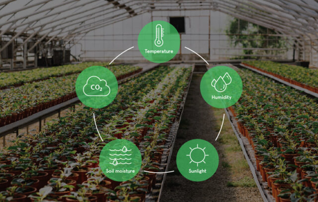 How to Do Environmental Management in a Greenhouse