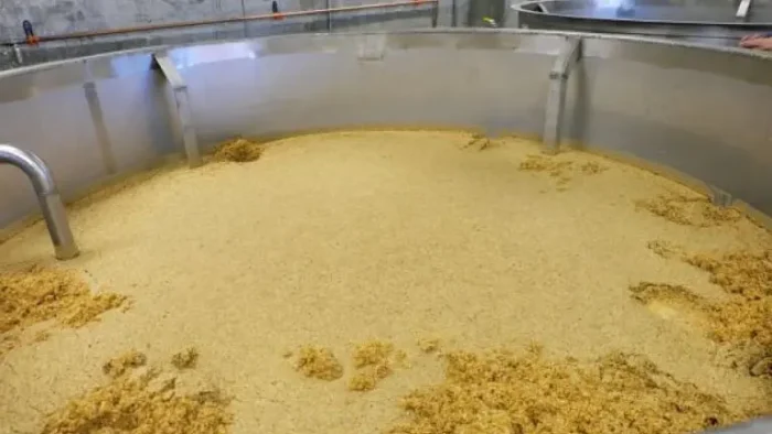 distiller's mash