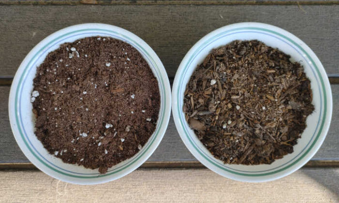 DIY seed starter mix