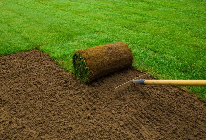 Soil Preparation for lawn