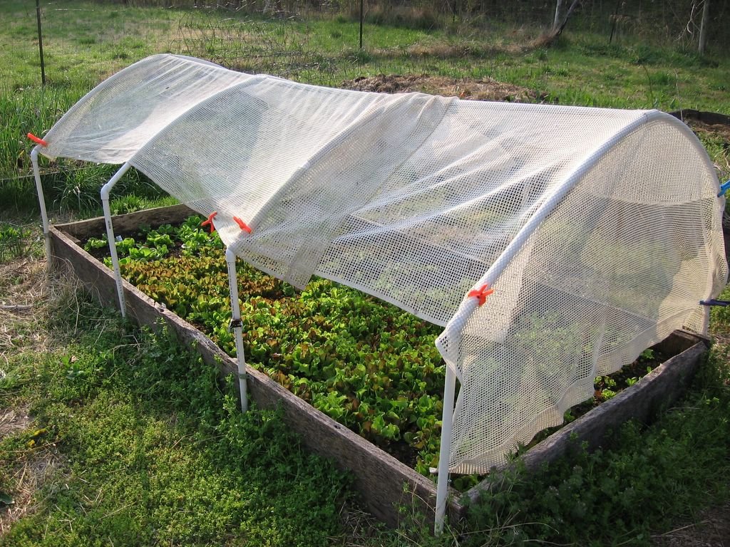 How to Install Shade Cloth Over Your Lettuce Garden Urban Farm Online