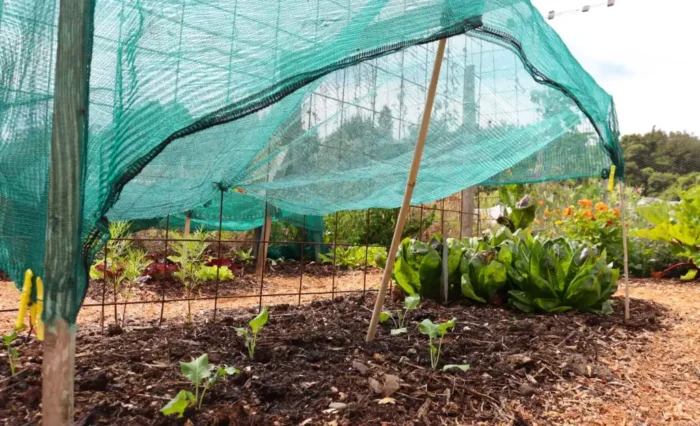 Shade Cloth for Your Garden