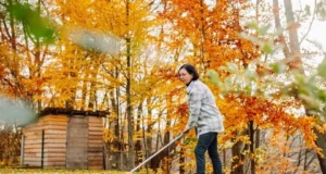 you shouldn't throw out leaves in the autumn