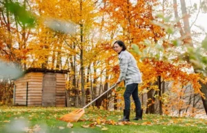 you shouldn't throw out leaves in the autumn