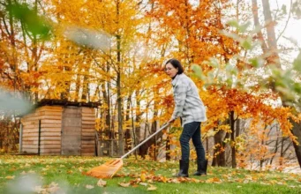 you shouldn't throw out leaves in the autumn