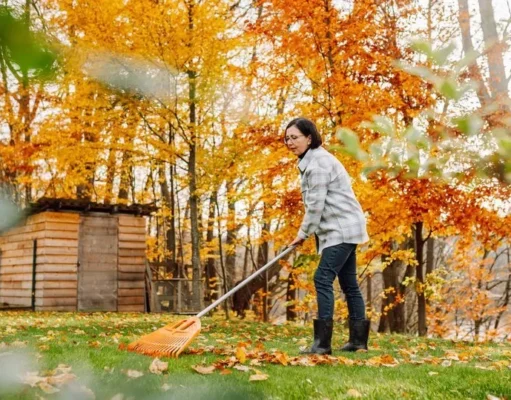 you shouldn't throw out leaves in the autumn